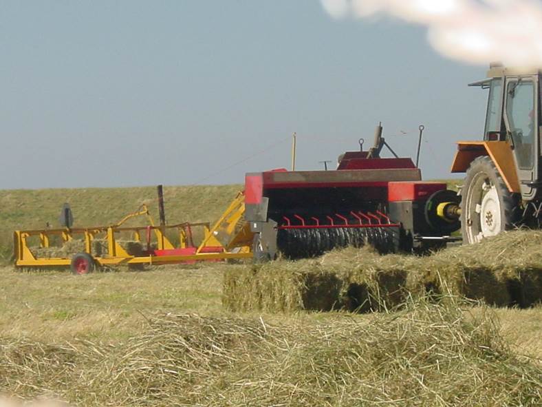Afbeelding met gras, lucht, buiten, vrachtwagen

Automatisch gegenereerde beschrijving